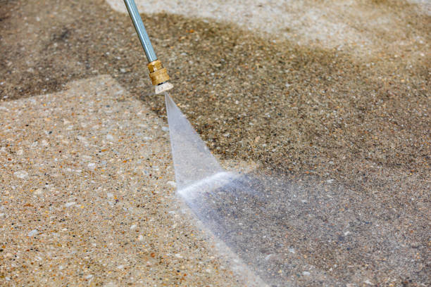 Best Vinyl Siding Pressure Washing in La Plata, MD