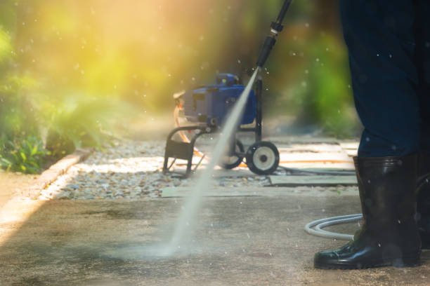 Best Soft Washing for Delicate Surfaces in La Plata, MD
